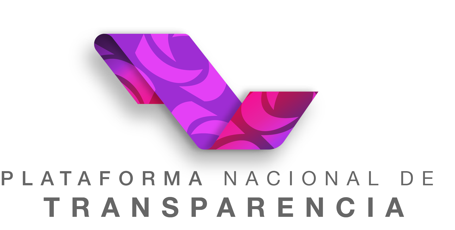 logo Plataforma Nacional de Transparencia